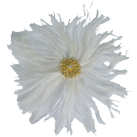 Цветок из перьев 23 см белый 445