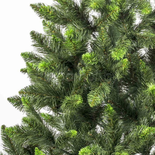 Ель (елка, сосна) "Канадская" с зелеными кончиками (концами) 1,8 метра купить в Минске