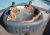 Надувной бассейн джакузи Bestway 60031 Lay-Z-Spa Hawaii 180x180x71 см купить в Минске