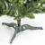 Ель (елка, сосна) "Канадская" с зелеными кончиками (концами) 2,2 метра купить в Минске