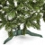 Ель (елка, сосна) "Канадская" с белыми кончиками (концами) 1,8 метра купить в Минске